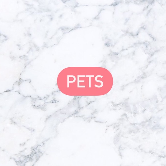 Pet Stuff Available! - Picture 1 of 1